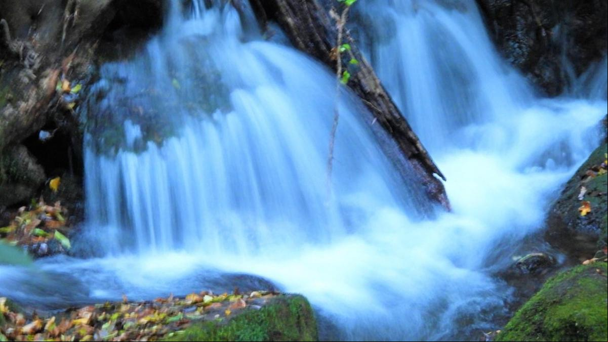El otoño de la sequía indulta las fuentes de Ogassa