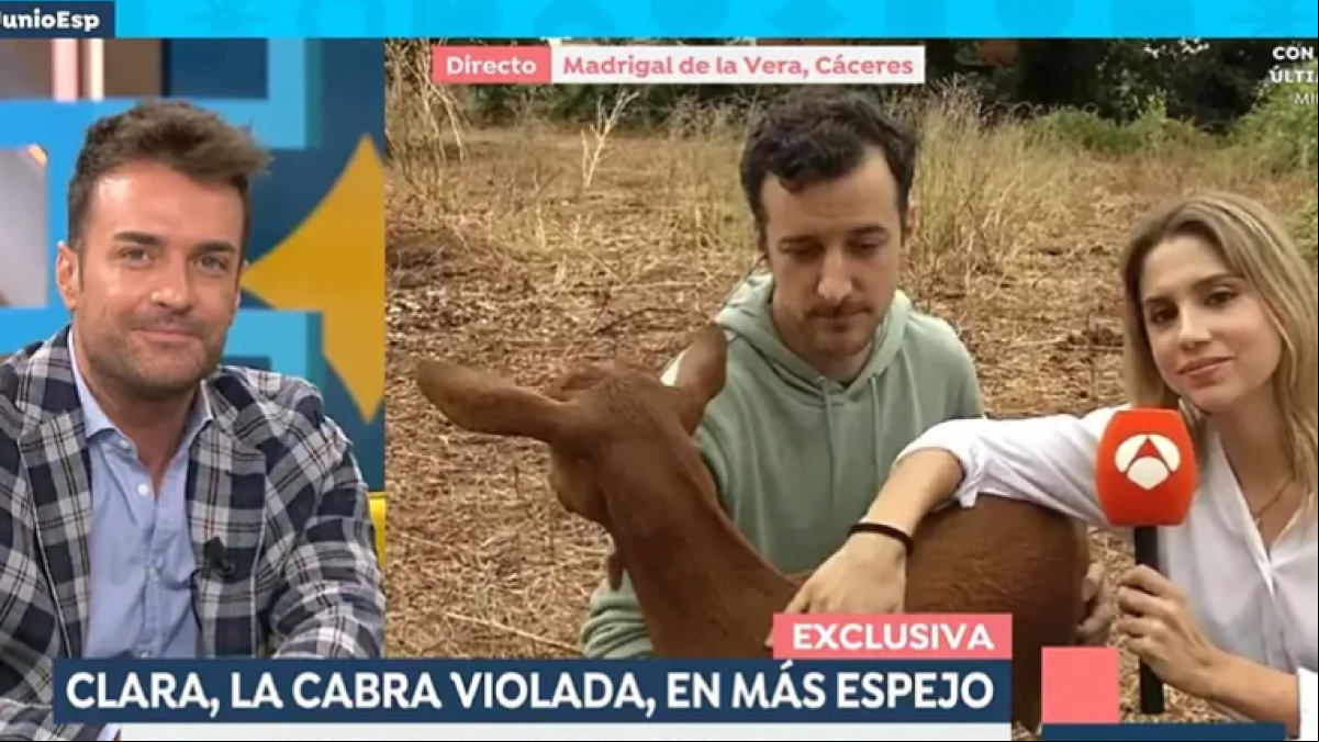 Nuevo giro en el caso de la cabra violada en la Complutense: Está distante