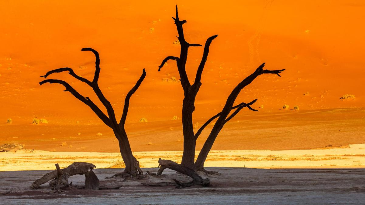 El fin del mundo está en Namibia