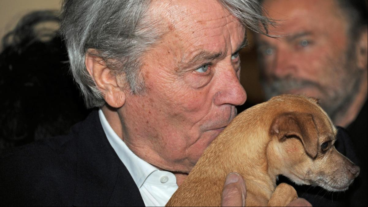 Alain Delon será enterrado en su finca y rodeado de las tumbas de sus perros