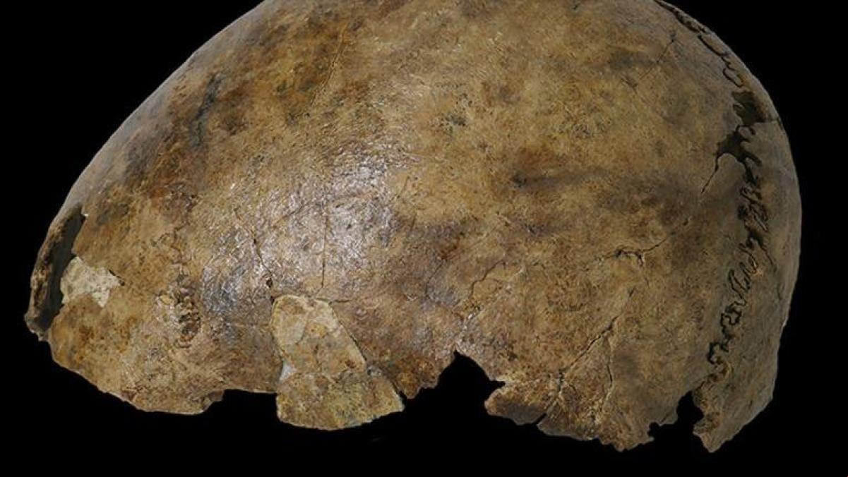 El esqueleto de la Tumba 26 que estaba hecho con huesos de hasta cinco personas diferentes