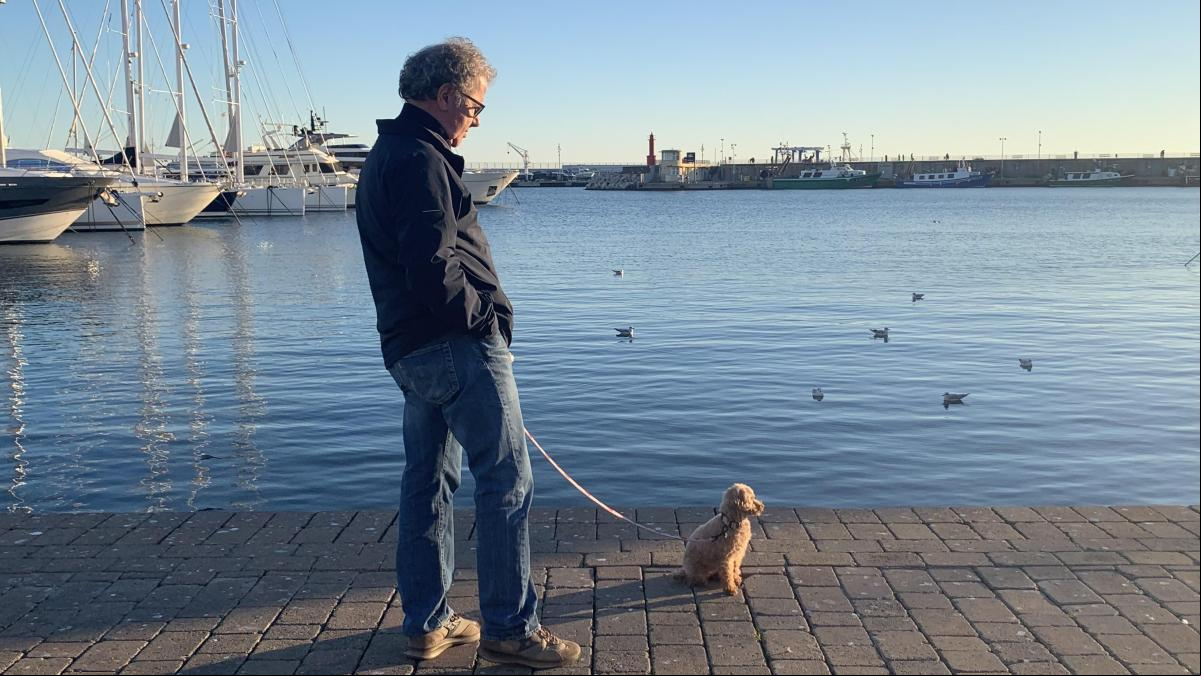 “Dejar a las mascotas al cuidado de nuestros mayores suele ser una combinación peligrosa”