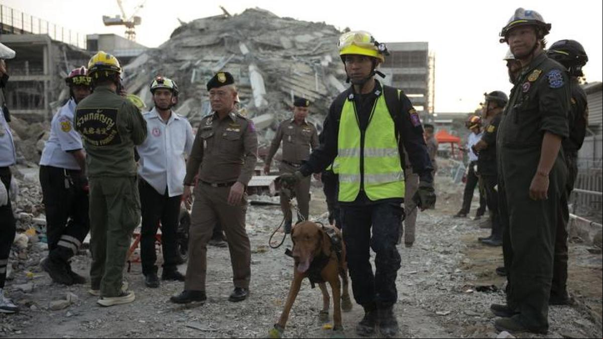 Tailandia detiene a una persona en relación con el edificio que colapsó en Bangkok tras un terremoto
