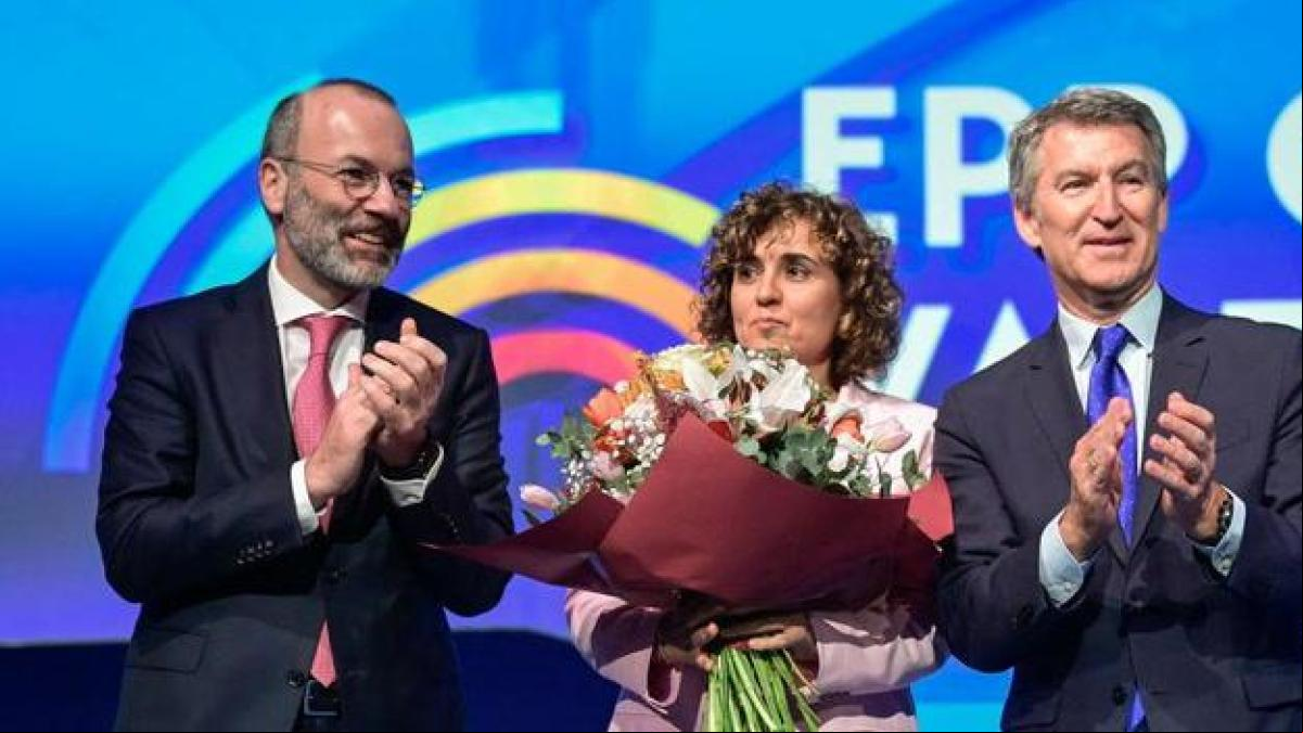 Cambio de piñón