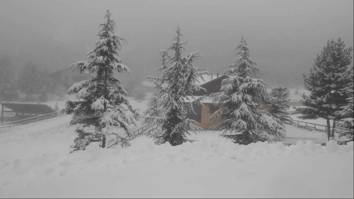 Última nevada en el Port del Comte