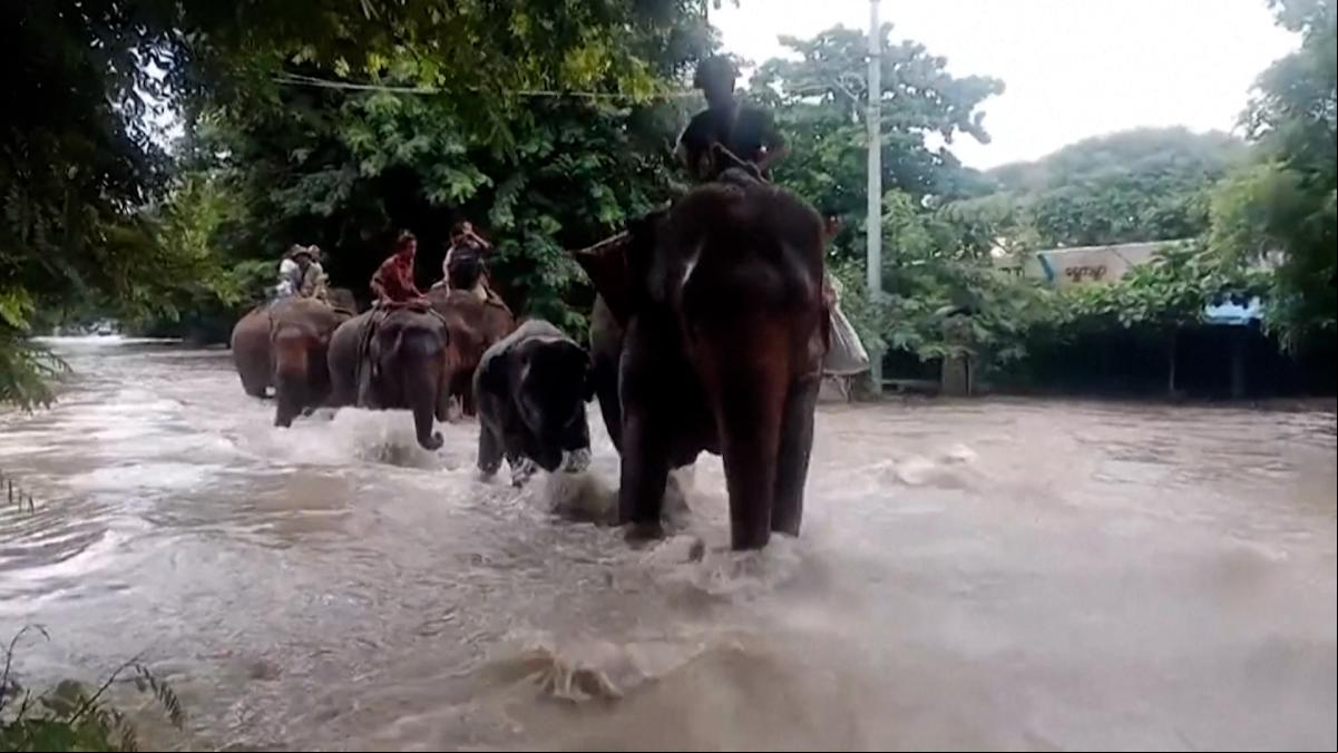 Los aldeanos montan elefantes para escapar de las inundaciones en Birmania