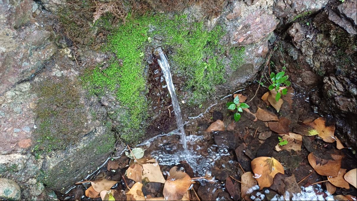 La lluvia reactiva las fuentes en Catalunya como la de Estenalles y la de Sant Patllari