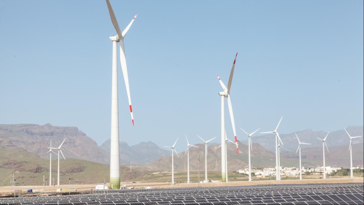 La generación renovable crece un 11% en 2024 y ya representa el 56% del mix eléctrico
