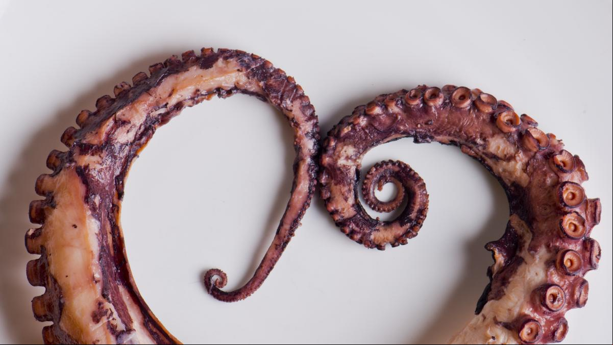 Feliz San Pulpo