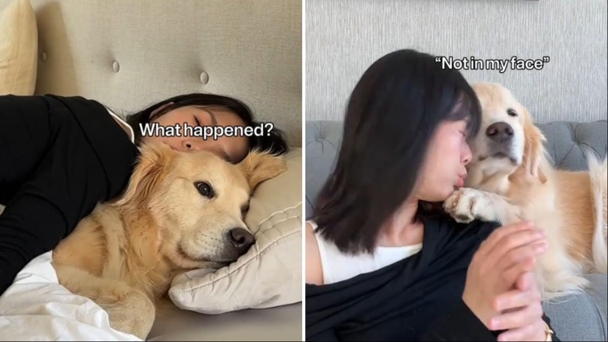 La divertida escena que enseña a una chica comportarse igual que lo hace su golden retriever: “Esto es demasiado bueno”