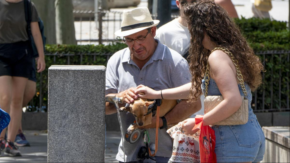 Calor de julio para despedir mayo: ¿Qué viene ahora? Calor de julio para despedir mayo: ¿Qué viene ahora?