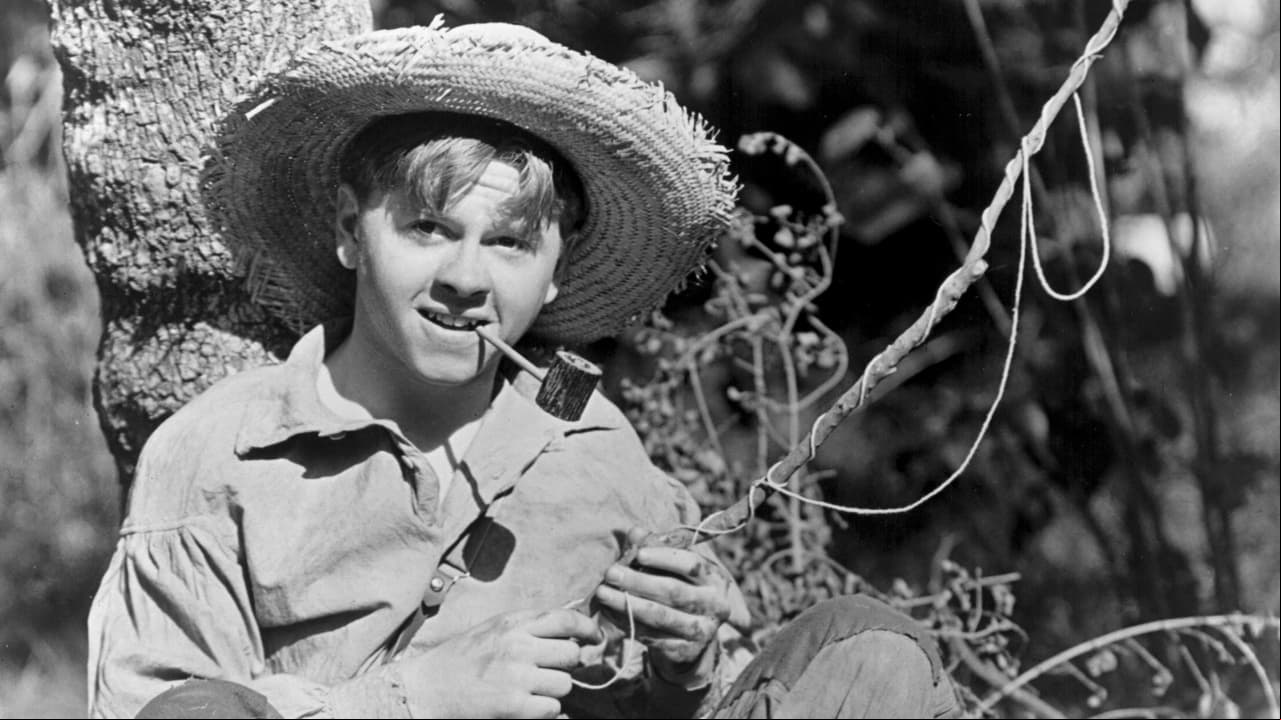 Las aventuras de Huckleberry Finn