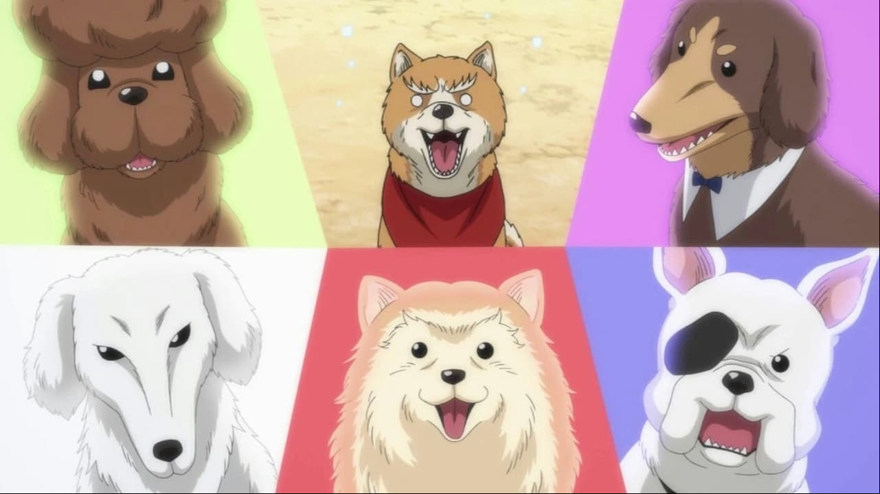 Oda Shinamon Nobunaga