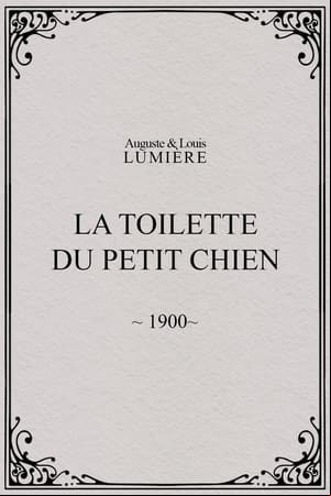 La toilette du petit chien