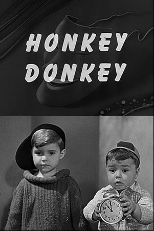 Honky Donkey Honky Donkey