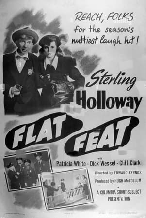 Flat Feat Flat Feat