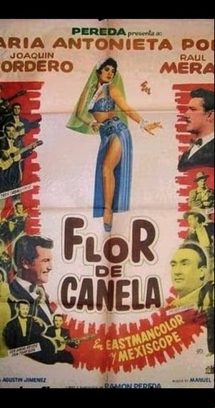 Flor de canela Flor de canela