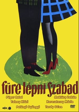 Fűre lépni szabad