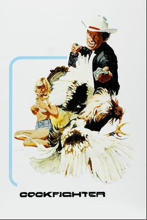 Gallos de pelea