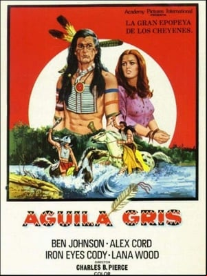Aguila gris Aguila gris