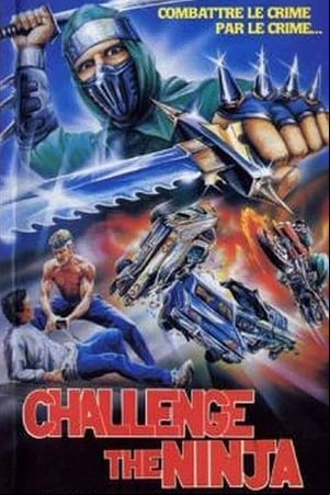 Challenge of the Ninja
