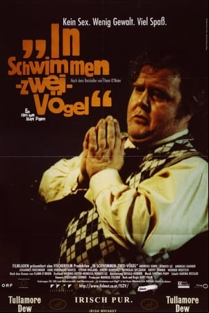 In Schwimmen zwei Vögel In Schwimmen zwei Vögel