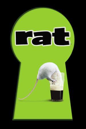 Mi vida como una rata Mi vida como una rata