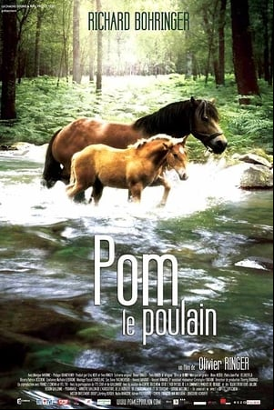 Pom, le poulain Pom, le poulain