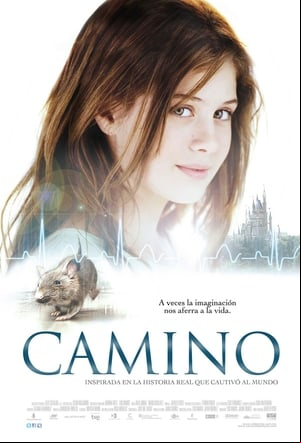 Camino Camino