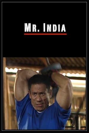 Mr. India