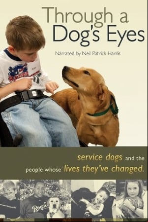 Through a Dogs Eyes
