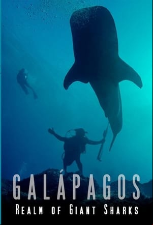 Galápagos: El reino de los tiburones gigante