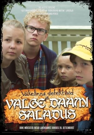 Väikelinna detektiivid ja valge daami saladus