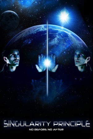 Singularity Principle Singularity Principle