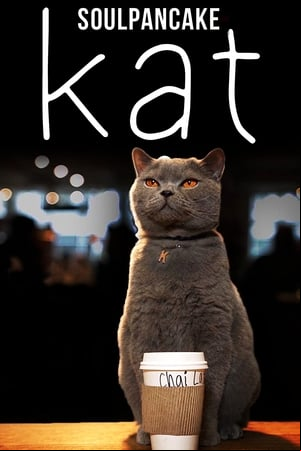 Kat Kat