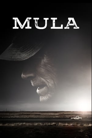 Mula