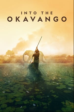 Into the Okavango Into the Okavango