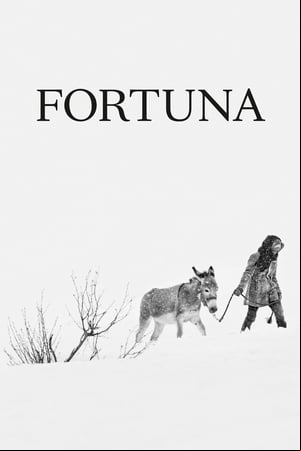 Fortuna Fortuna