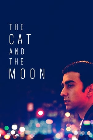 The Cat and the Moon