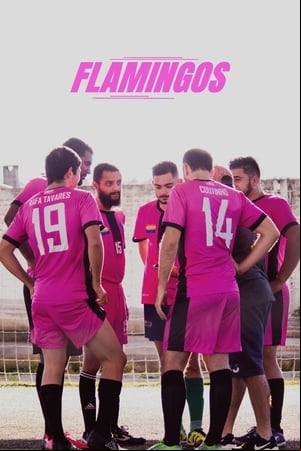Flamingos
