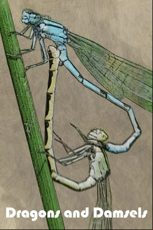 Dragons and Damsels Dragons and Damsels