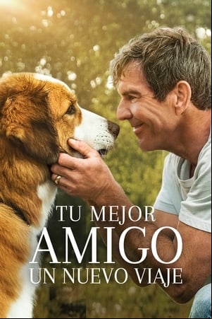Tu mejor amigo: Un nuevo viaje Tu mejor amigo: Un nuevo viaje