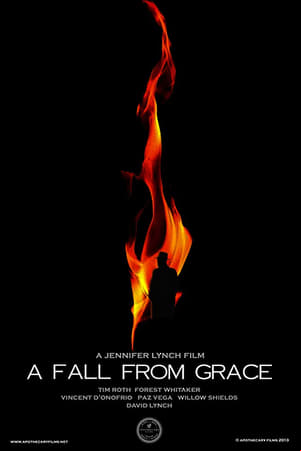 A Fall from Grace A Fall from Grace