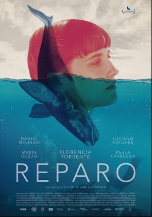 Reparo