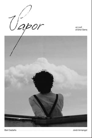 Vapor