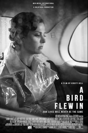 A Bird Flew In A Bird Flew In