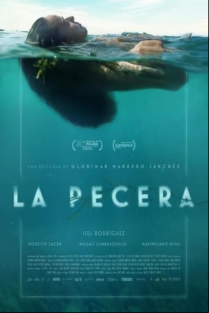La pecera La pecera