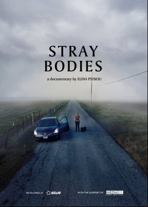 Stray Bodies