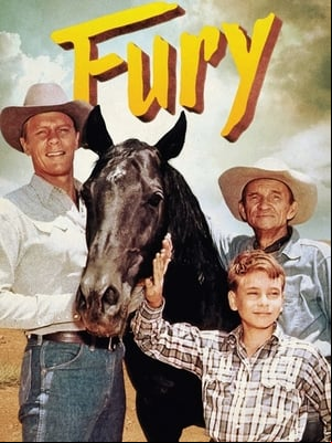 Fury Fury