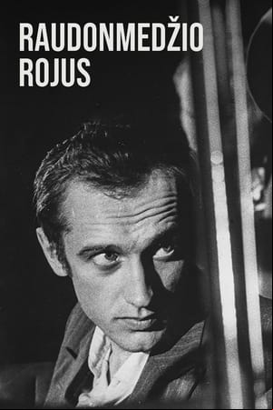 Raudonmedžio Rojus Raudonmedžio Rojus